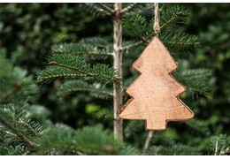 Comment recycler son sapin ?